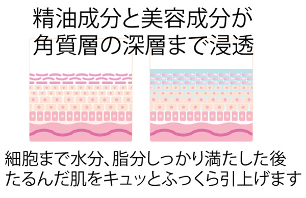 精油成分と美容成分が角質層の深層まで浸透