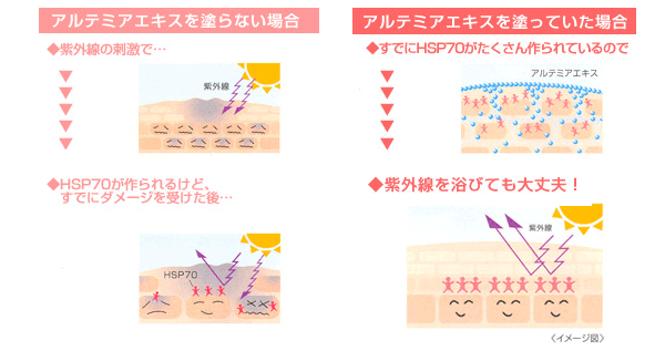 エステダム UVインセリウムスプレー