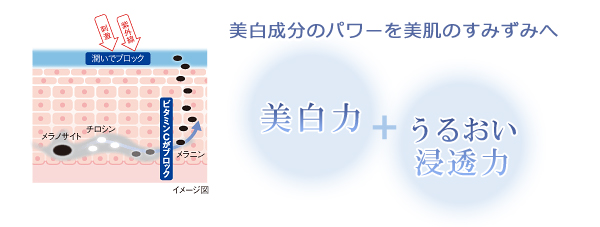 美白成分のパワーをすみずみへ 美白力+うるおい浸透力