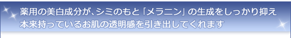 薬用の美白成分が、シミのもと「メラニン」の生成をしっかり抑え本来持っているお肌の透明感を引き出してくれます