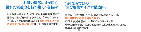 当社ならではの生分解性マイクロ構造体