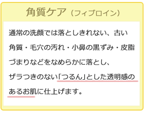 質ケア(フィブロイン)