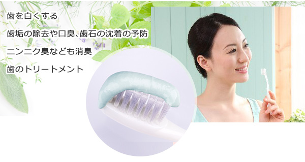 ハーブ歯磨き粉 レモングラス