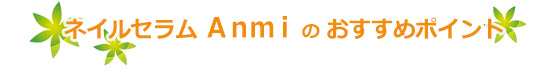 ネイルセラム anmi おすすめポイント