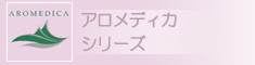 ������ǥ���