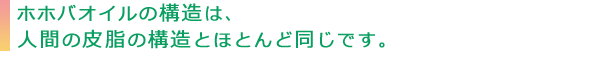 ホホバオイルの構造は、人間の皮脂の構造とほとんど同じです