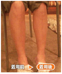 着用画像