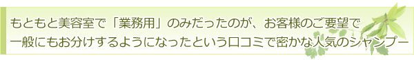 もともと美容室で「業務用」のみだったのが、お客様のご要望で一般にもお分けするようになったという口コミで密かな人気のシャンプー