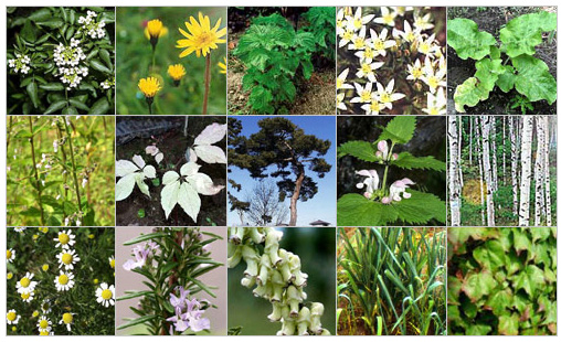 15種類の植物エキス