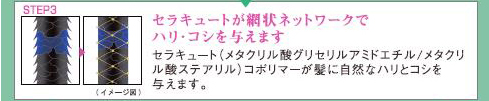 セラキュートが網状ネットワークでハリ・コシを与えます