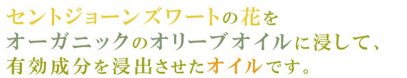 セントジョーンズワートの花をオーガニックのオリーブオイルに浸して、有効成分を進出させてオイルです。