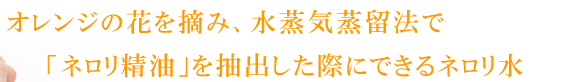 オレンジの花を摘み、水蒸気蒸留法で「ネロリ精油」を抽出した際にできるネロリ水