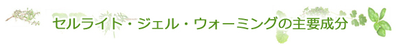 セルライト・ジェル・ウォーミングの主要成分