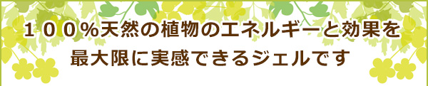 １００％天然の植物のエネルギーと効果を最大限に実感できるシリーズです