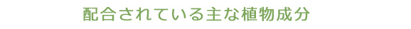 配合されている主な植物成分