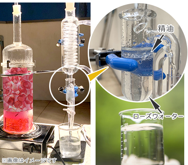 フランキンセンス（オリバナム）ウォーター　蒸留イメージ