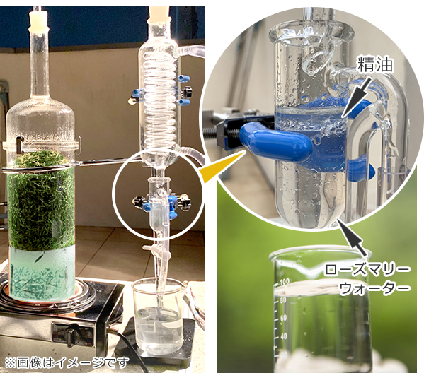 ローズマリーウォーター　蒸留イメージ
