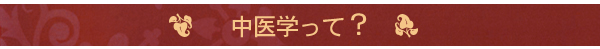 中医学とは