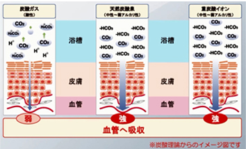炭酸理論からのイメージ図