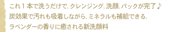 これ1本で洗うだけで、クレンジング、洗顔、パックが完了♪炭効果で汚れも吸着しながら、ミネラルも補給できる、ラベンダーの香りに癒される新洗顔料