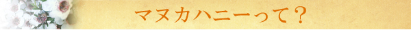 マヌカハニーって?