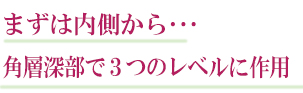 まずは内側から肌細胞の内側で３つのレベルに作用
