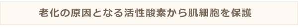 老化の原因となる活性酸素から肌細胞を保護