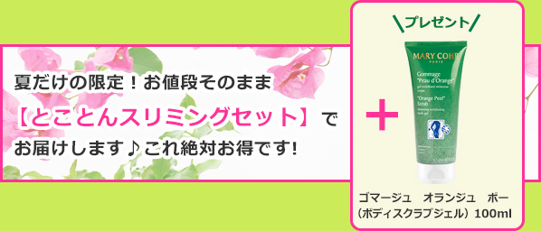 お値段そのまま【とことんスリミングセット】