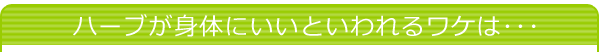 ハーブが身体にいいといわれるワケは