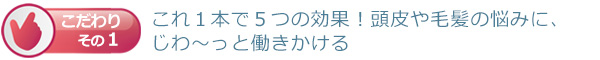 これ１本で５つの効果！頭皮や毛髪の悩みに、じわ～っと働きかける