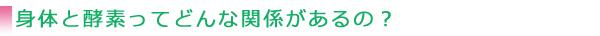 身体と酵素ってどんな関係があるの?