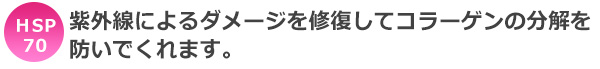 HSP70=紫外線によるダメージを修復してコラーゲンの分解を防いでくれます