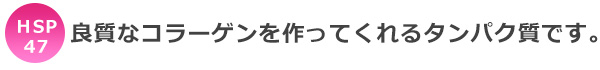 HSP47=良質なコラーゲンを作ってくれるタンパク質です