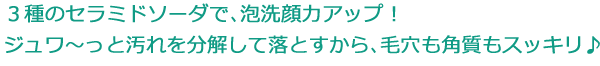 ３種のセラミドソーダで、泡洗顔力アップ！ジュワ～っと汚れを分解して落とすから、毛穴も角質もスッキリ♪