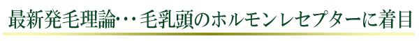 最新発毛理論・・・毛乳頭のホルモンレセプターに着目