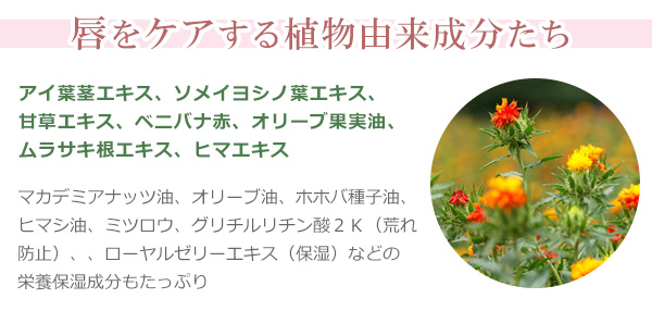 唇をケアする植物由来成分たち