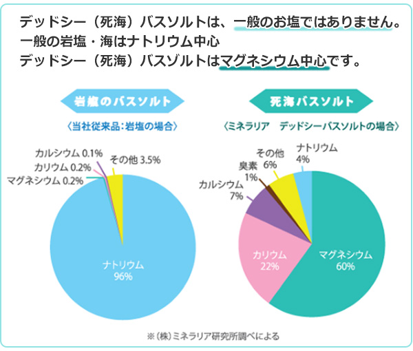 71%OFF!】 ミネラリア研究所デッドシーバスソルト ナチュラル80g アロマインバス25g×2