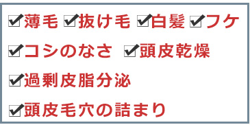 薄毛 抜け毛 白髪 フケ コシのなさ 頭皮乾燥 過剰皮脂分泌 頭皮毛穴の詰まり