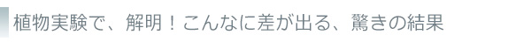 植物実験で、解明！こんなに差が出る、驚きの結果