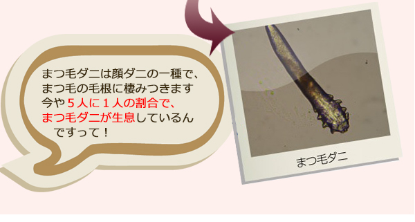 アイシャンプー ロング