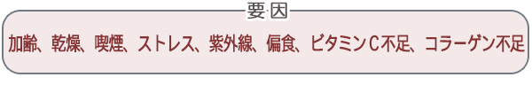 加齢、乾燥、喫煙、ストレス、紫外線、偏食、ビタミンC不足、コラーゲン不足