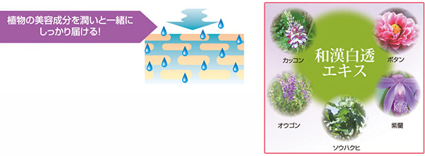 その他の植物由来成分