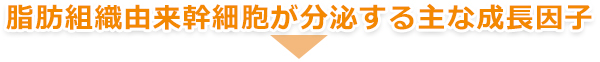 脂肪組織由来幹細胞が分泌する主な成長因子