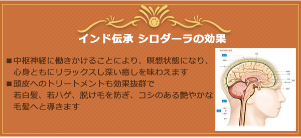 インド伝承 シロダーラの効果