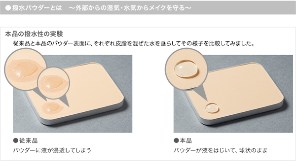 スタインズ ステージパウダー