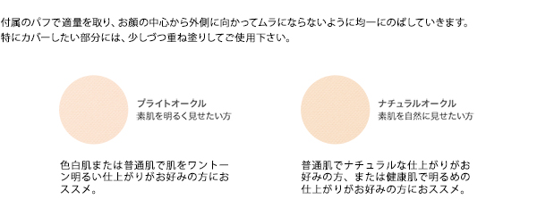 スタインズ ステージパウダーのご使用方法