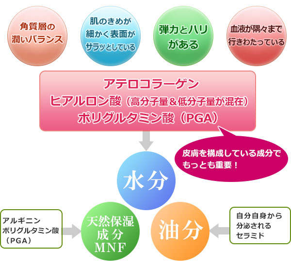 ファイン ルレ(昼用)&ファイン ルレMD(夜用) 美容液セット