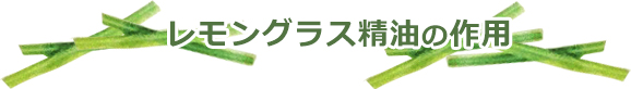 レモングラス精油の作用