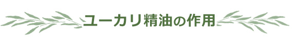 ユーカリ精油の作用