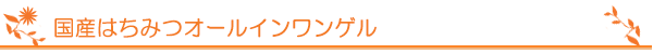 国産はちみつオールインワンゲル